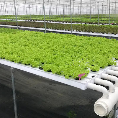 Hydroponic Tube for Mint Lettuce Spinach Celery Scallion Coriander Strawberry Chicory
