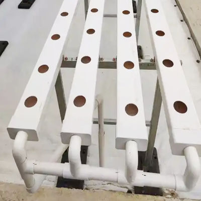 Hydroponic Tube for Mint Lettuce Spinach Celery Scallion Coriander Strawberry Chicory