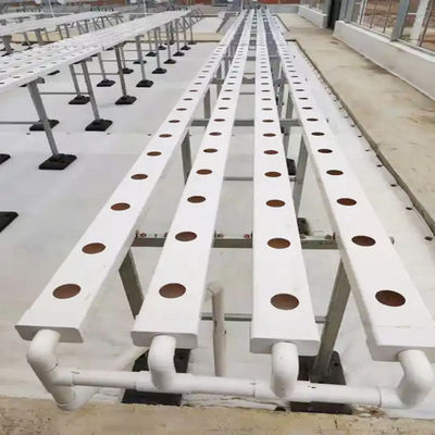 NFT Hydroponic Channel for Growing Vegetables or Fruit in 100x50mm PVC Plastic Pipe
