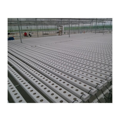 NFT Hydroponic Channel for Growing Vegetables or Fruit in 100x50mm PVC Plastic Pipe